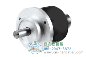 H58標(biāo)準(zhǔn)光電增量編碼器 - 西安德伍拓自動(dòng)化傳動(dòng)系統(tǒng)有限公司 Dynapar(丹納帕)編碼器授權(quán)代理